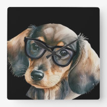 Dachshund lindo con gafas negras