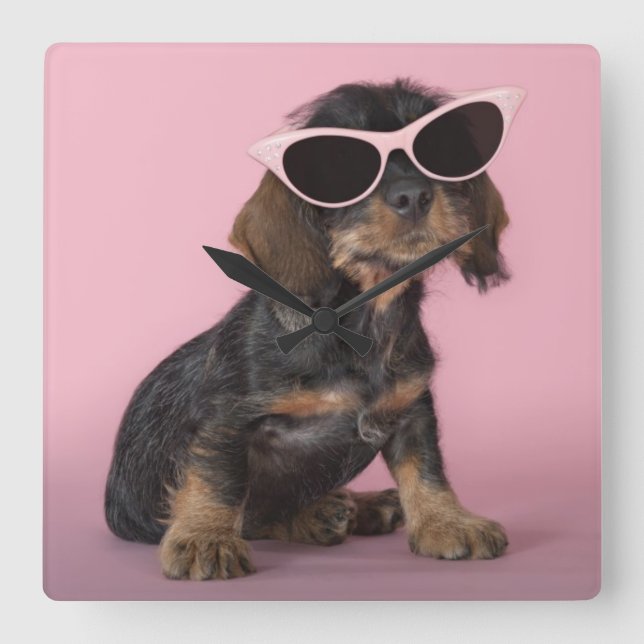 Reloj Cuadrado Dachshund Puppy Wearing Sunglasses (Anverso)
