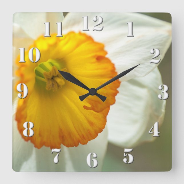 Reloj Cuadrado Daffodil (Anverso)