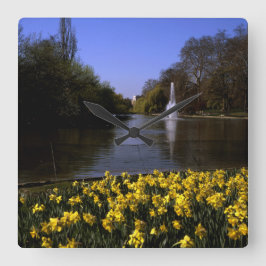 Reloj Cuadrado Daffodils St James Park Londres