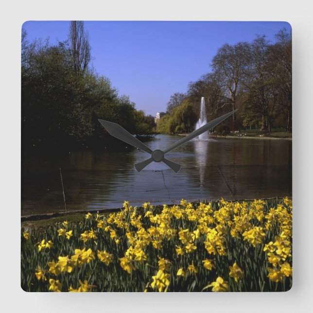 Reloj Cuadrado Daffodils St James Park Londres (Anverso)