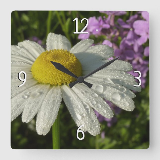 Reloj Cuadrado Daisy and Summer Lilac Wildflower (Anverso)