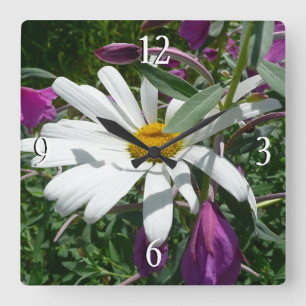Reloj Cuadrado Daisy y Fireweed Wildflower