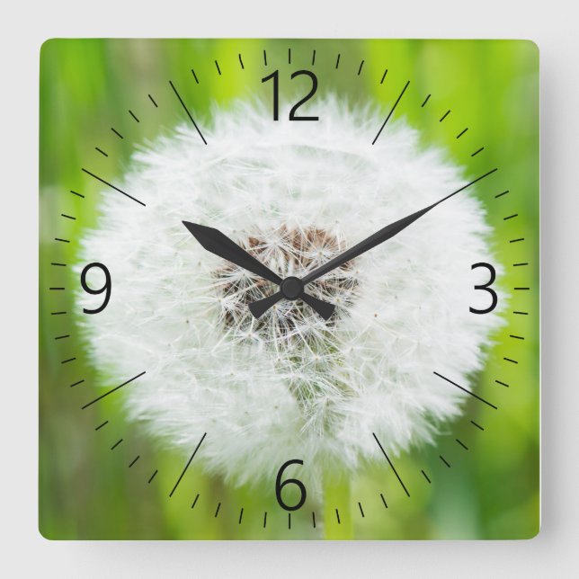 Reloj Cuadrado Dandelia (Anverso)