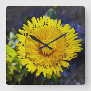 Reloj Cuadrado Dandelion a la luz del sol