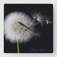 Dandelion en la brisa