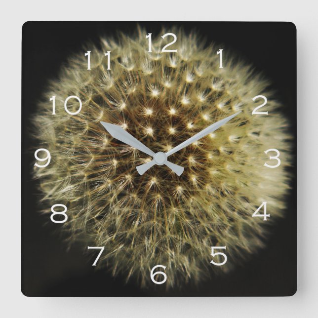 Reloj Cuadrado Dandelion Seedhead White Numbers wccn (Anverso)