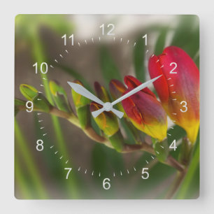 Reloj Cuadrado dark red freesia