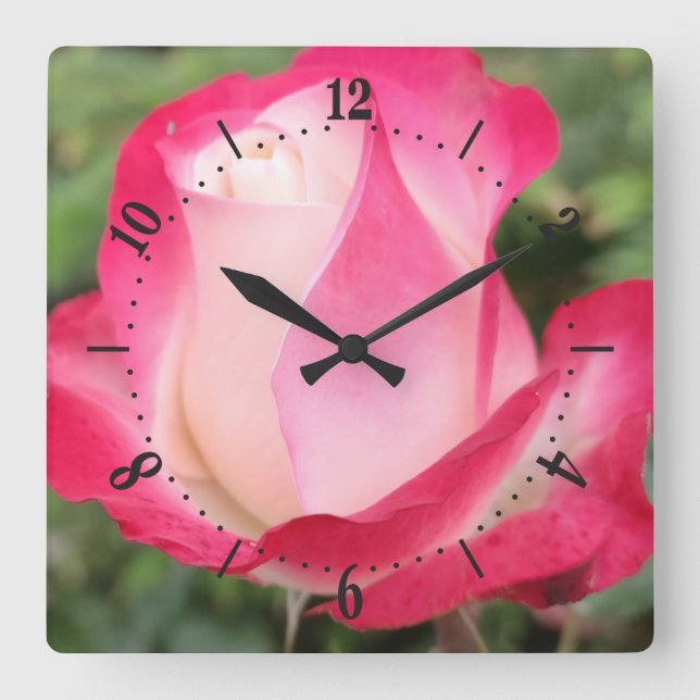 Reloj cuadrado de la flor de rosa rosa rosa (Anverso)