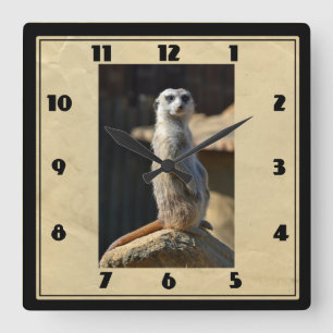 Reloj cuadrado de Meerkat
