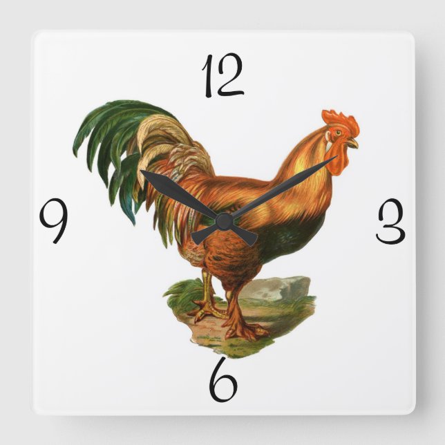 Reloj cuadrado de pared/gallo (Anverso)