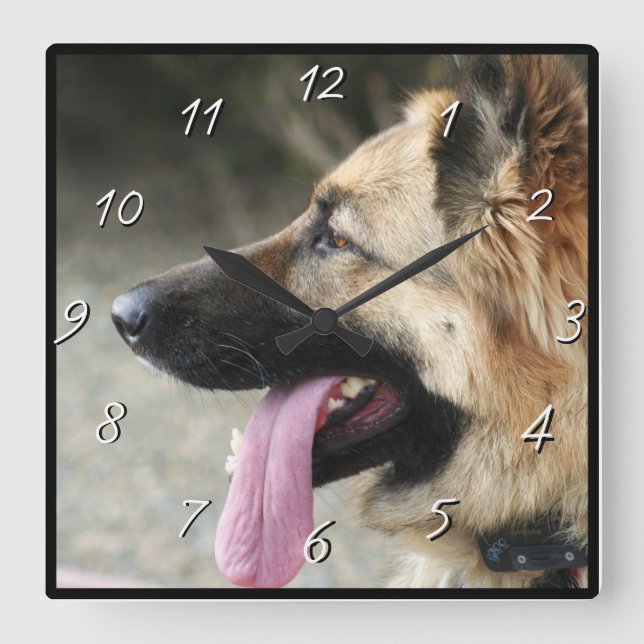 Reloj cuadrado de perro pastor alemán (Anverso)