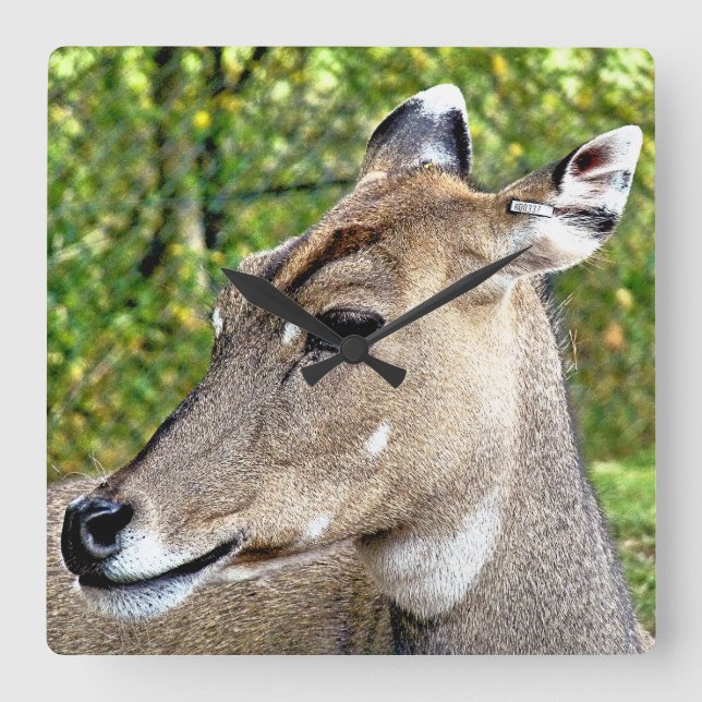 RELOJ CUADRADO DEER (Anverso)