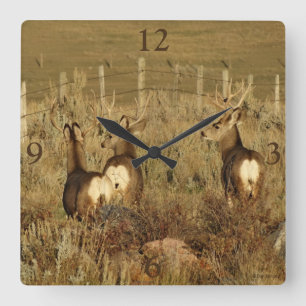 Reloj Cuadrado Deer Bucks D30