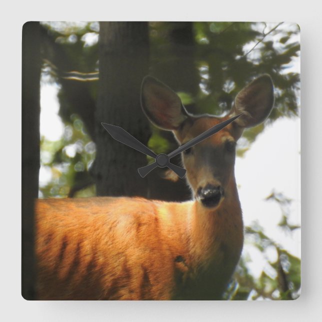 Reloj Cuadrado Deer In The Trees (Anverso)