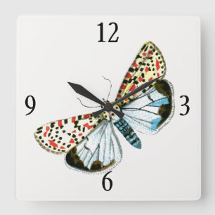 Reloj Cuadrado Deiopeia pulchella - Lana de flunkey envuelta en l