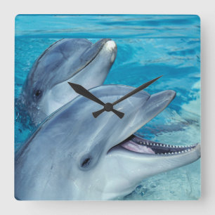 Reloj Cuadrado delfines