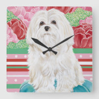 Della Rose Maltese