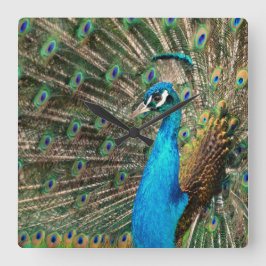 Reloj Cuadrado Der blaue Pfau