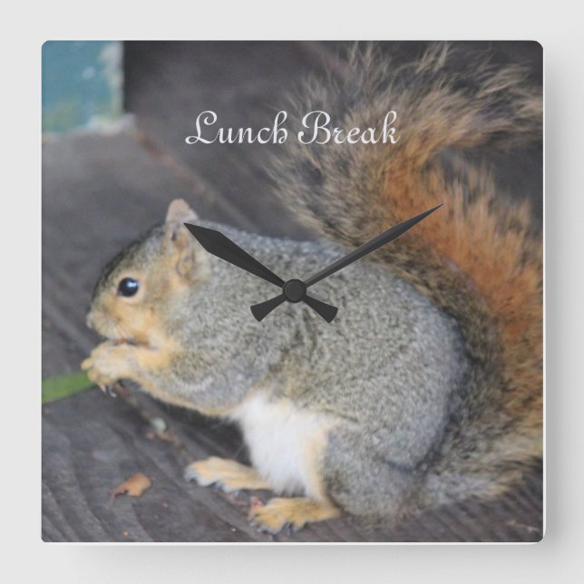 Reloj Cuadrado "Descanso de almuerzo" de ardilla (Anverso)