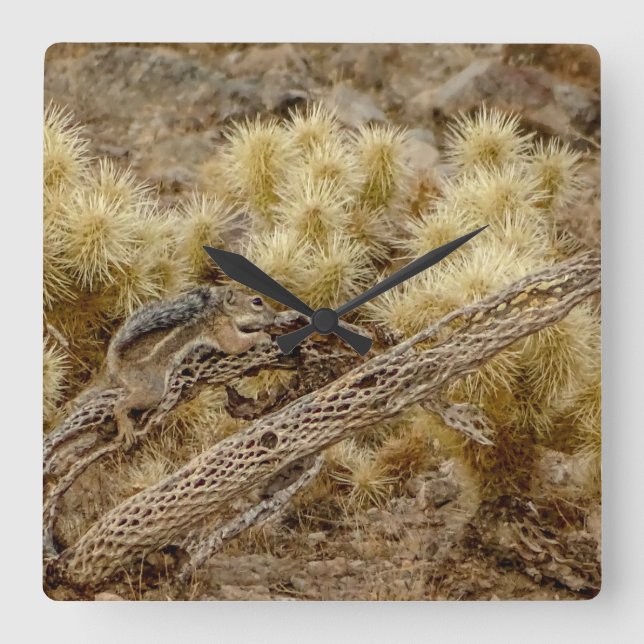 Reloj Cuadrado Desert Squirrel On Cholla Cactus Skeleton (Anverso)