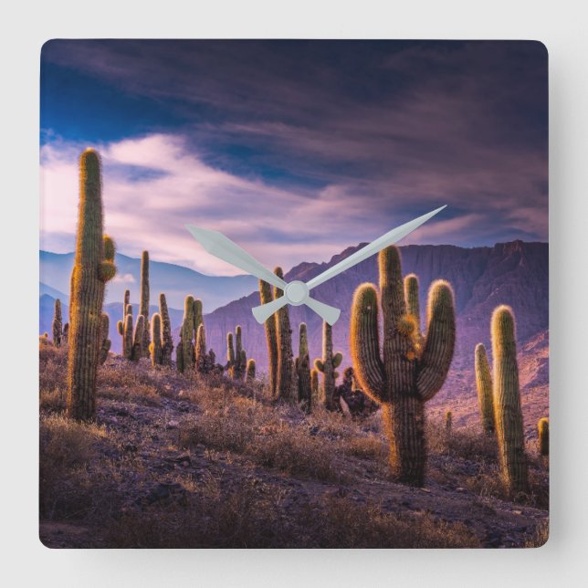 Reloj Cuadrado Deserts | Cactus Landscape Argentina (Anverso)