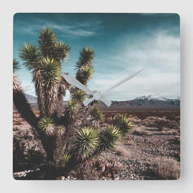 Reloj Cuadrado Deserts | Cholla Cactus (Anverso)