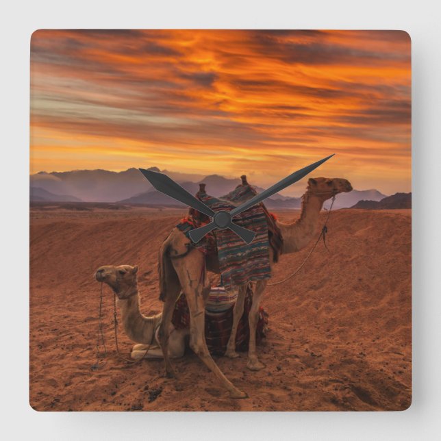 Reloj Cuadrado Desiertos | Duna de arena de camello de Egipto (Anverso)