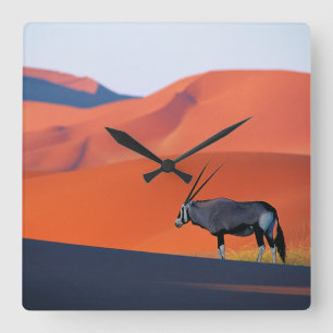 Reloj Cuadrado Desiertos Namib Desert Oryx