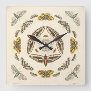 Reloj Cuadrado Detalle de la placa V