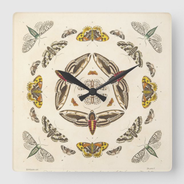 Reloj Cuadrado Detalle de la placa V (Anverso)