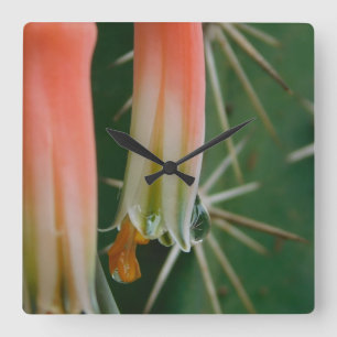 Reloj Cuadrado Dew en Aloe Bloom