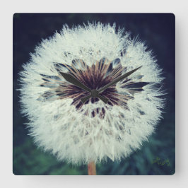 Reloj Cuadrado Dewy Dandelion Clock.