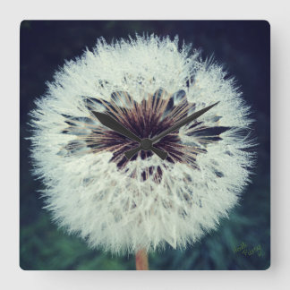 Reloj Cuadrado Dewy Dandelion Clock.
