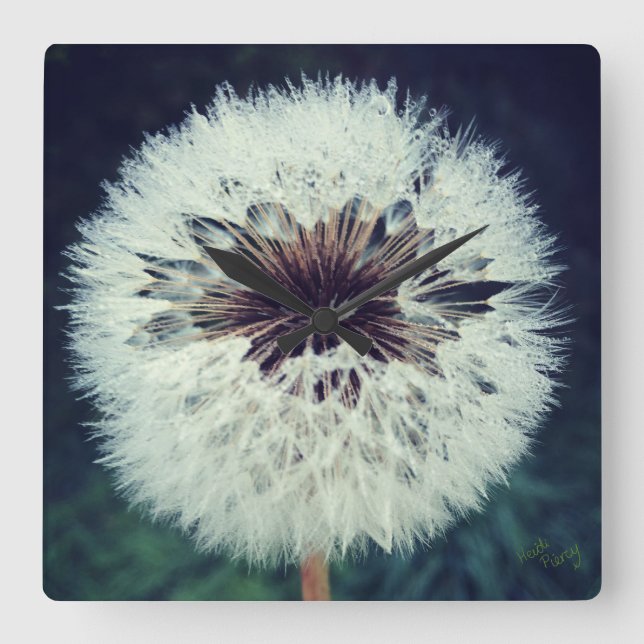 Reloj Cuadrado Dewy Dandelion Clock. (Anverso)