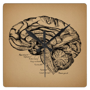 Reloj Cuadrado Diagrama del cerebro antiguo Anatomía médica art
