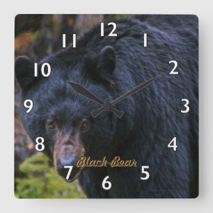 Reloj Cuadrado Dignidad del oso negro