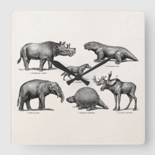 Reloj Cuadrado Dinosaurios viejos retros del ilustracion del
