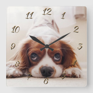 Reloj Cuadrado Doggy