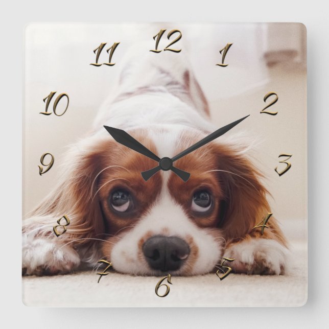 Reloj Cuadrado Doggy (Anverso)