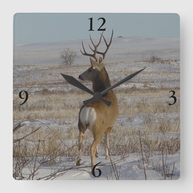 Reloj Cuadrado Dólar del ciervo mula D20 en nieve (Anverso)