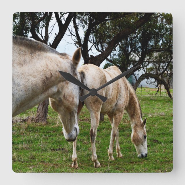 Reloj Cuadrado Dos Caballos Blancos Enloquecidos, (Anverso)