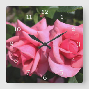 Reloj Cuadrado dos flores de rosa rosadas calientes perfectas. am
