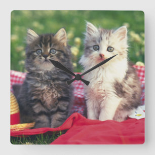 Reloj Cuadrado Dos Gatitos Sentados En Una Cama De Colores Rojos