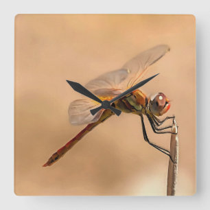 Reloj Cuadrado Dragonfly pintado aislado contra Ecru