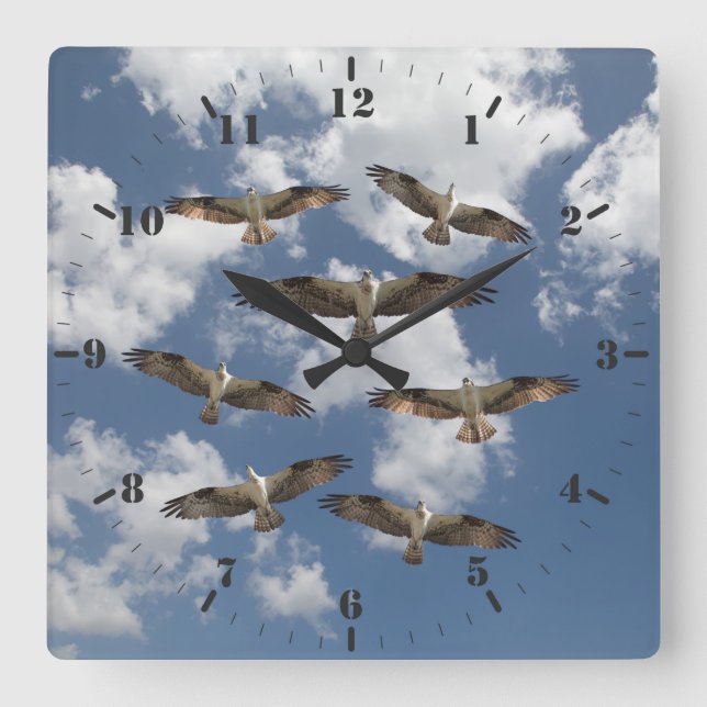 Reloj Cuadrado Duet of Ospreys in the sky photography (Anverso)