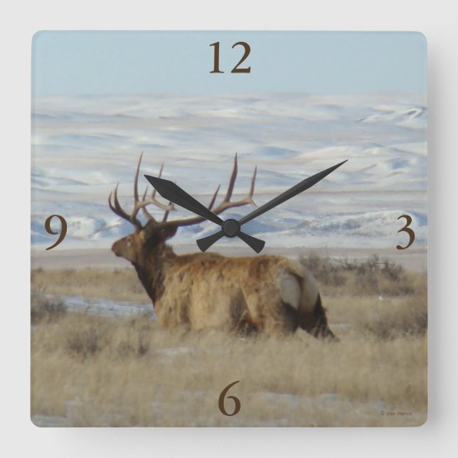Reloj Cuadrado E22 Alce Toro y Colinas Nevadas (Anverso)