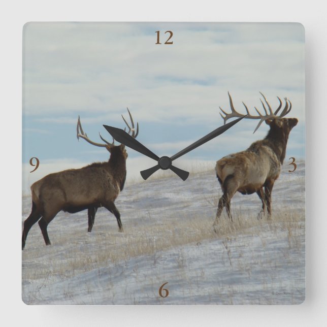Reloj Cuadrado E57 Bull Elk Lucky 13 Bull (Anverso)