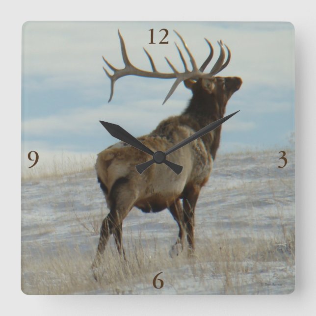 Reloj Cuadrado E58 Bull Elk Lucky 13 Bull (Anverso)
