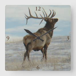 Reloj Cuadrado E58 Bull Elk Lucky 13 Bull